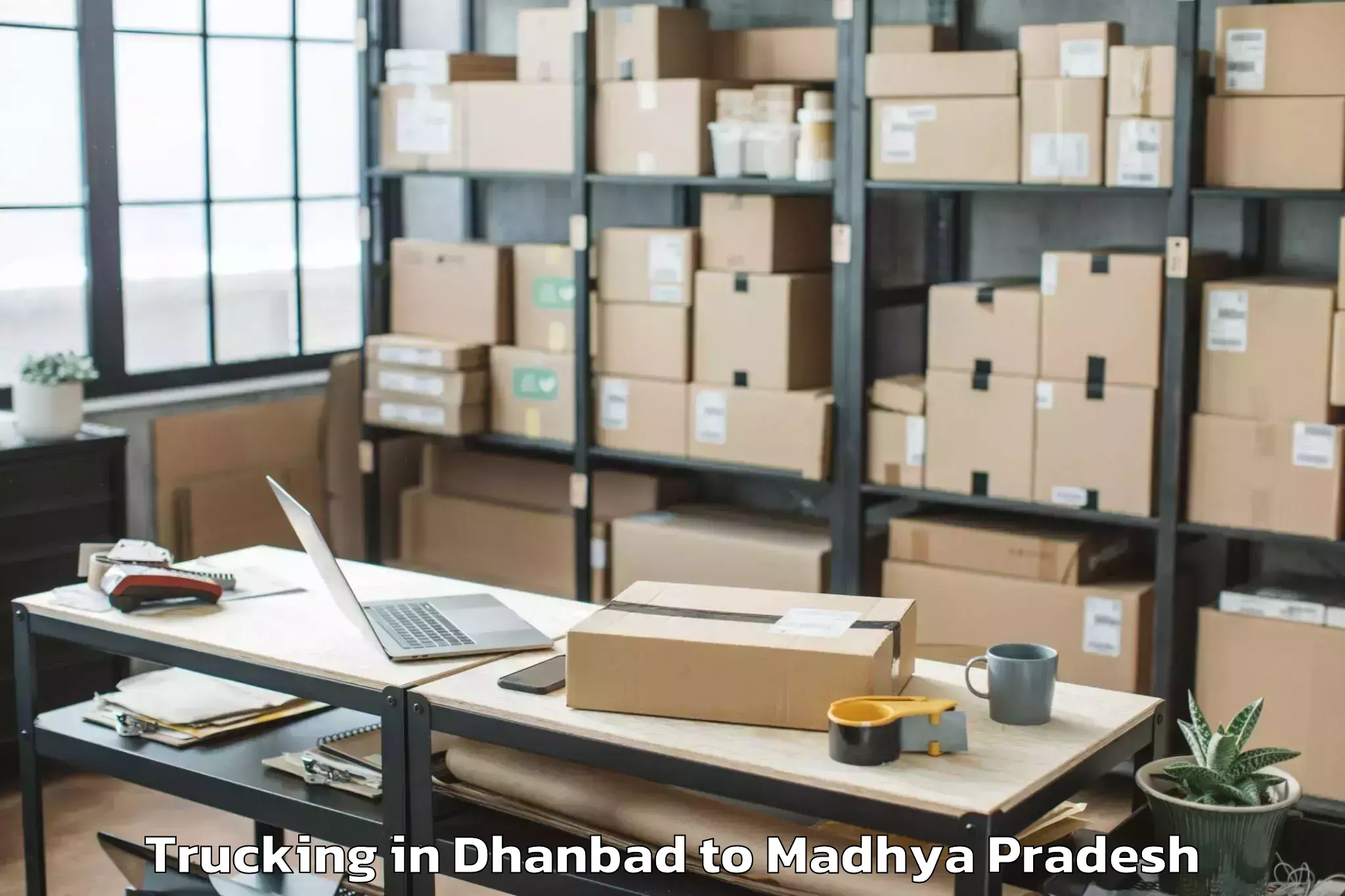 Easy Dhanbad to Daboh Trucking Booking